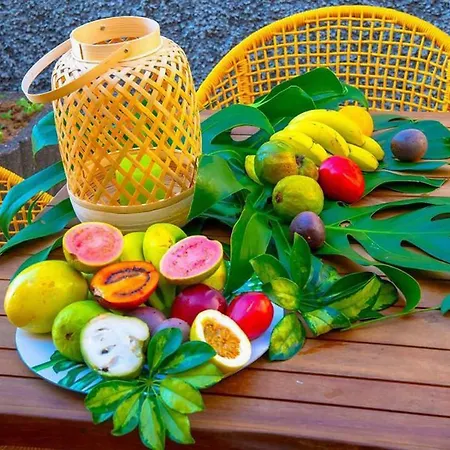 Sunrise View By Homie سانتا كروز